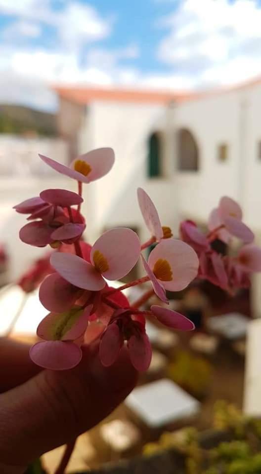 Hotel Casablanca Samaipata Luaran gambar