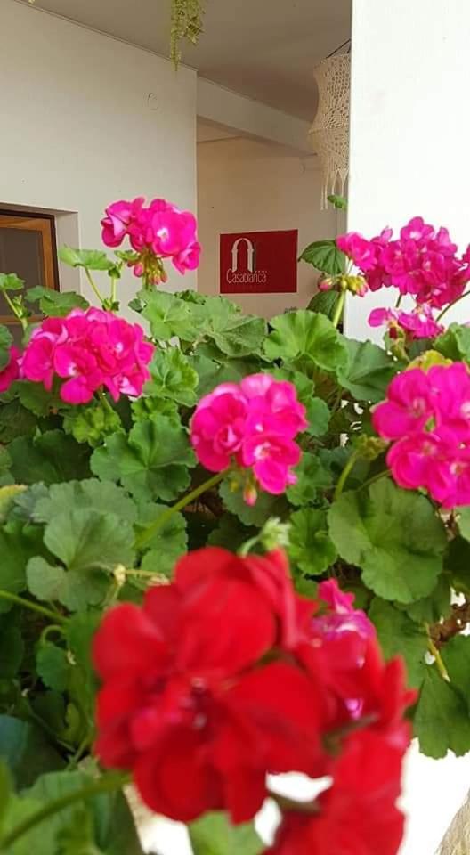 Hotel Casablanca Samaipata Luaran gambar
